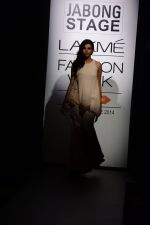 Model walk the ramp for Riddhi Mehra at LFW 2014 Day 6 on 24th Aug 2014 (279)_53fb11ffddc4e.JPG