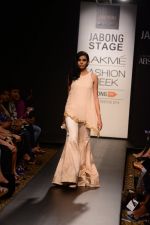 Model walk the ramp for Riddhi Mehra at LFW 2014 Day 6 on 24th Aug 2014 (283)_53fb1203e392e.JPG