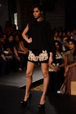 Model walk the ramp for Riddhi Mehra at LFW 2014 Day 6 on 24th Aug 2014 (326)_53fb1234bd78b.JPG