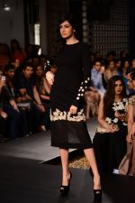 Model walk the ramp for Riddhi Mehra at LFW 2014 Day 6 on 24th Aug 2014 (341)_53fb1245df0dd.JPG
