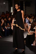 Model walk the ramp for Riddhi Mehra at LFW 2014 Day 6 on 24th Aug 2014 (349)_53fb124e8cfa3.JPG