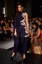 Model walk the ramp for Riddhi Mehra at LFW 2014 Day 6 on 24th Aug 2014 (361)_53fb125bb474e.JPG