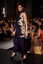 Model walk the ramp for Riddhi Mehra at LFW 2014 Day 6 on 24th Aug 2014 (362)_53fb125cca355.JPG