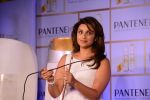 Parineeti Chopra at Pantene promotional event in Mumbai on 27th Aug 2014 (16)_53fe9aedcc30c.JPG
