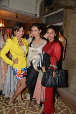 at the launch of Roshni Chopra_s new Fashion Label in Mumbai on 27th Aug 2014 (128)_53fe9d1a48b1b.JPG