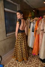 at the launch of Roshni Chopra_s new Fashion Label in Mumbai on 27th Aug 2014 (71)_53fe9ce821286.JPG