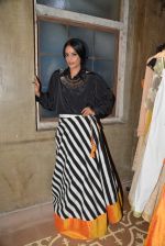 at the launch of Roshni Chopra_s new Fashion Label in Mumbai on 27th Aug 2014 (94)_53fe9d004391c.JPG