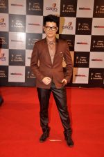 Meiyang Chang at Indian Telly Awards in Filmcity, Mumbai on 9th Sept 2014 (420)_541008401c413.JPG