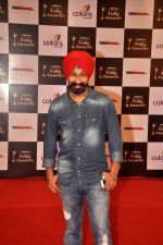 at Indian Telly Awards in Filmcity, Mumbai on 9th Sept 2014 (400)_5410066c49735.JPG