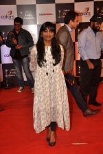 at Indian Telly Awards in Filmcity, Mumbai on 9th Sept 2014 (504)_5410068d0d7d2.JPG