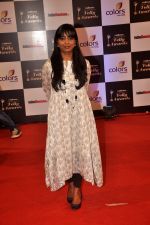 at Indian Telly Awards in Filmcity, Mumbai on 9th Sept 2014 (510)_5410069577ed4.JPG