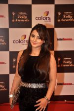 at Indian Telly Awards in Filmcity, Mumbai on 9th Sept 2014 (532)_541006a35de08.JPG