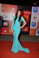 Pooja Chopra at Micromax Siima day 1 red carpet on 12th Sept 2014 (49)_54153d6156ee7.JPG