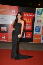Pooja Chopra on day 2 of Micromax SIIMA Awards red carpet on 13th Sept 2014 (960)_541544ac4d31e.JPG