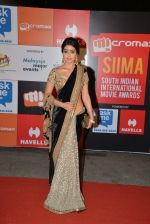 Shriya Saran on day 2 of Micromax SIIMA Awards red carpet on 13th Sept 2014 (518)_541544ff5113f.JPG