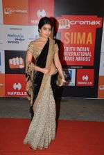 Shriya Saran on day 2 of Micromax SIIMA Awards red carpet on 13th Sept 2014 (527)_5415450d9028f.JPG