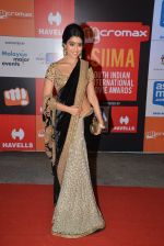 Shriya Saran on day 2 of Micromax SIIMA Awards red carpet on 13th Sept 2014 (530)_541545147953c.JPG