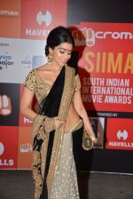 Shriya Saran on day 2 of Micromax SIIMA Awards red carpet on 13th Sept 2014 (534)_5415451cef52b.JPG