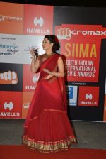 Tamannaah Bhatia on day 2 of Micromax SIIMA Awards red carpet on 13th Sept 2014 (660)_5415454c6b14a.JPG