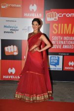 Tamannaah Bhatia on day 2 of Micromax SIIMA Awards red carpet on 13th Sept 2014 (663)_5415455347a75.JPG