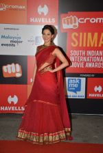 Tamannaah Bhatia on day 2 of Micromax SIIMA Awards red carpet on 13th Sept 2014 (664)_541545551bbea.JPG