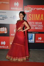 Tamannaah Bhatia on day 2 of Micromax SIIMA Awards red carpet on 13th Sept 2014 (667)_5415455b8a479.JPG