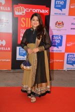 at Micromax Siima day 1 red carpet on 12th Sept 2014 (141)_54153c8c717f2.JPG