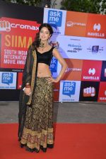 at Micromax Siima day 1 red carpet on 12th Sept 2014 (155)_54153ca160fd4.JPG