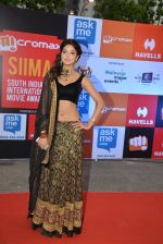 at Micromax Siima day 1 red carpet on 12th Sept 2014 (156)_54153ca2e7d27.JPG