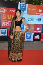 at Micromax Siima day 1 red carpet on 12th Sept 2014 (157)_54153ca47eead.JPG