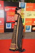 at Micromax Siima day 1 red carpet on 12th Sept 2014 (166)_54153cb187a8e.JPG
