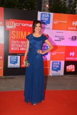 at Micromax Siima day 1 red carpet on 12th Sept 2014 (237)_54153d175dd19.JPG