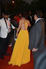 at Micromax Siima day 1 red carpet on 12th Sept 2014 (252)_54153d3387afc.JPG