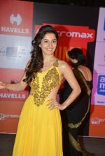 at Micromax Siima day 1 red carpet on 12th Sept 2014 (262)_54153d471d17f.JPG