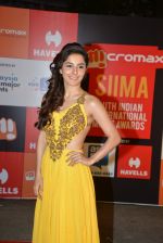 at Micromax Siima day 1 red carpet on 12th Sept 2014 (264)_54153d49d7eeb.JPG
