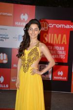at Micromax Siima day 1 red carpet on 12th Sept 2014 (265)_54153d4b4abe9.JPG