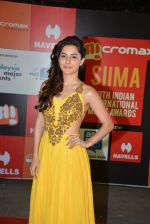 at Micromax Siima day 1 red carpet on 12th Sept 2014 (268)_54153d4f6d5fe.JPG
