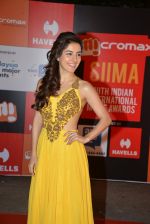 at Micromax Siima day 1 red carpet on 12th Sept 2014 (270)_54153d522caee.JPG