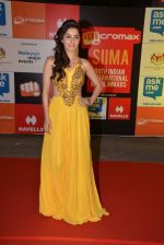 at Micromax Siima day 1 red carpet on 12th Sept 2014 (273)_54153d5628197.JPG