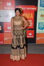 at Micromax Siima day 1 red carpet on 12th Sept 2014 (445)_54153e3598a01.JPG