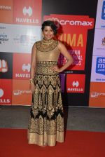 at Micromax Siima day 1 red carpet on 12th Sept 2014 (447)_54153e38d3ae5.JPG