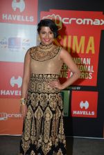 at Micromax Siima day 1 red carpet on 12th Sept 2014 (450)_54153e3db1833.JPG
