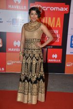 at Micromax Siima day 1 red carpet on 12th Sept 2014 (451)_54153e3f5422a.JPG