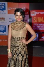 at Micromax Siima day 1 red carpet on 12th Sept 2014 (453)_54153e4268cad.JPG