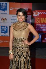 at Micromax Siima day 1 red carpet on 12th Sept 2014 (454)_54153e43de75b.JPG