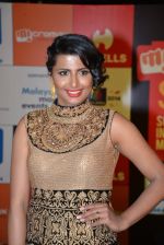 at Micromax Siima day 1 red carpet on 12th Sept 2014 (457)_54153e485fcb5.JPG