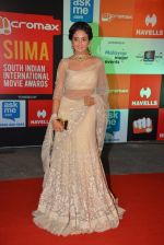 at Micromax Siima day 1 red carpet on 12th Sept 2014 (478)_54153e69d0cb8.JPG