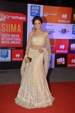 at Micromax Siima day 1 red carpet on 12th Sept 2014 (484)_54153e72634e5.JPG
