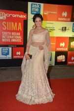 at Micromax Siima day 1 red carpet on 12th Sept 2014 (487)_54153e77505f9.JPG