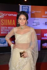 at Micromax Siima day 1 red carpet on 12th Sept 2014 (499)_54153e8d900b2.JPG